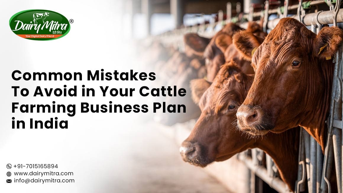 Cattle Farming Business Plan in India